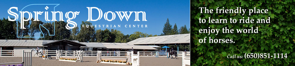 Spring Down Equestrian Center. The friendly place to learn to ride and enjoy the world of horses.